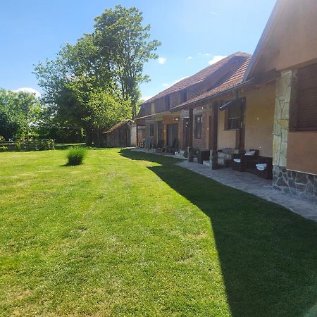Dvor Vila Donja Toponica Exterior foto