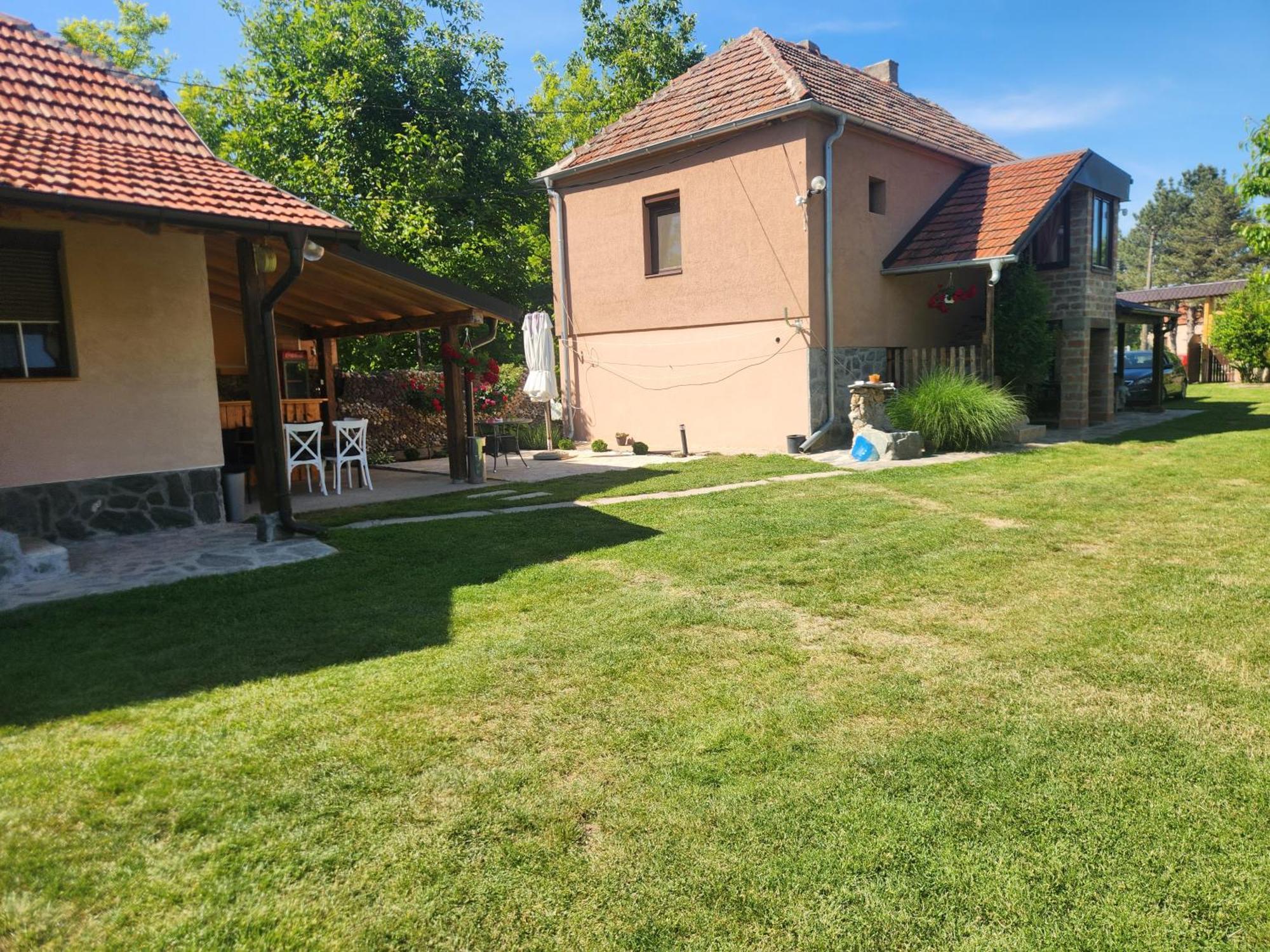 Dvor Vila Donja Toponica Exterior foto